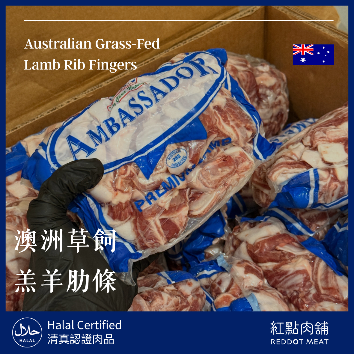 澳洲草飼羔羊肋條 1000g 原廠包