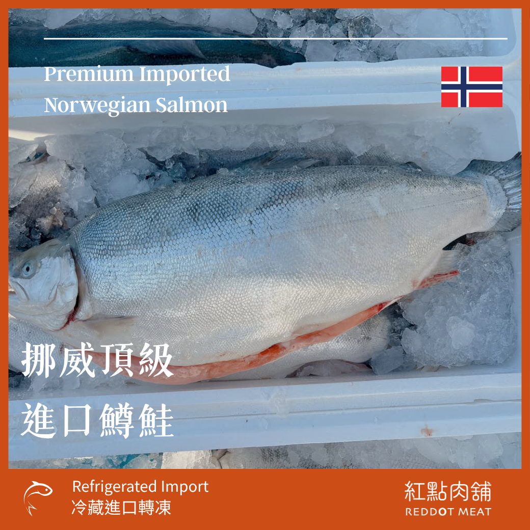 【挪威直送】頂級鱒鮭/鮭魚整尾代切|專業去骨真空包裝 - 紅點肉鋪
